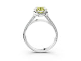 White gold Fancy Yellow Round  Solitaire Pave Split Shank Ring with Four-Prong Setting_202