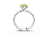 White gold Fancy Yellow Round  Solitaire with Pave Band and Four-Prong Setting_6