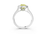 White gold Halo Fancy Yellow Cushion -Cut Diamond Pave Band Milgrain Prong Setting Ring_58