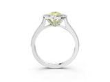 White gold Halo Fancy Yellow Pear -Cut Diamond Pave Band Milgrain Prong Setting Ring_58