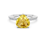 White gold Heart Cut Diamond Pavé Band with Six-Prong Setting