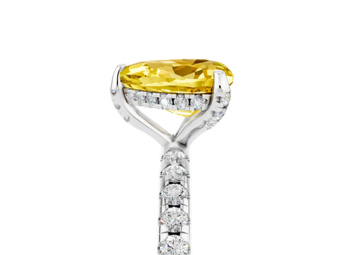 White gold Heart Cut Diamond Solitaire Ring with Four-Prong Setting and Pavé Band_5