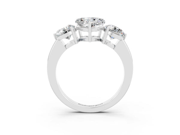 White gold Heart Cut Moissanite Three-Stone Ring with Prong Setting and Classic Band
