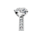 White gold Heart Solitaire with Pavé Band and Four-Prong Setting_324