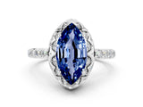 White gold Marquise Cut Blue Sapphire Scalloped Halo Engagement Ring with Round Shared Prong Band_24