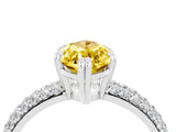 White gold Marquise Cut Cut Diamond Milgrain Marquise Band with Prong Setting_4