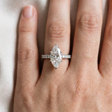 White gold Marquise Cut Diamond Pavé Band with Four-Prong Setting_97