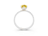 White gold Marquise Cut Diamond Pavé Band with Six-Prong Setting_3