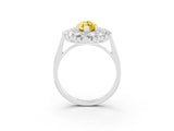 White gold Marquise Cut Halo Cluster Diamond Ring with Pave Band and Four-Prong Setting_15