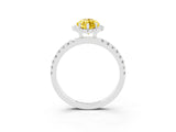 White gold Marquise Cut Halo Diamond Pave Band with Prong Setting_3