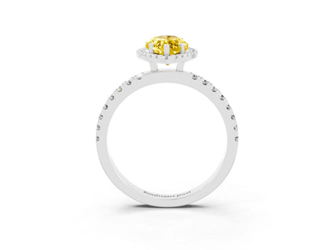 White gold Marquise Cut Halo Diamond Pave Band with Prong Setting_3