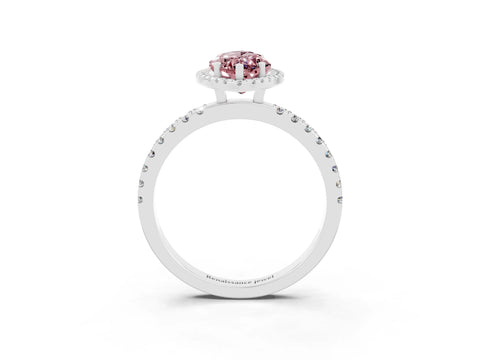 White gold Marquise Cut Halo Diamond Pave Band with Prong Setting_3