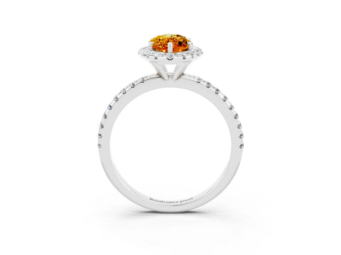 White gold Marquise Cut Halo Round Diamond Pavé Band Four-Prong Ring_3