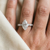 White gold Marquise Cut Solitaire Diamond Ring with Pave Band and Four-Prong Setting_345