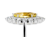 White gold Marquise Cut Yellow Sapphire Floral Double Halo Engagement Ring with Prong Setting_77