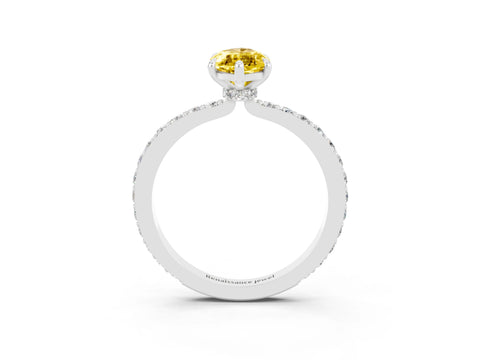 White gold Marquise Cut Yellow Sapphire Pavé Engagement Ring with Round  Accents and Prong Setting_51