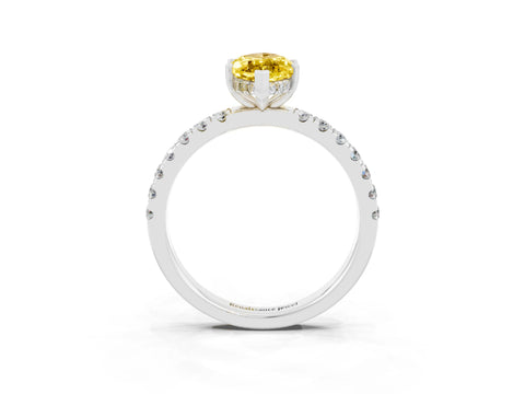 White gold Marquise Cut Yellow Sapphire Pave Band Solitaire Ring with Four-Prong Setting_63