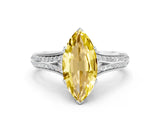 White gold Marquise Cut Yellow Sapphire Split Shank Engagement Ring with Pavé Band_24