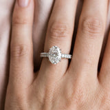 White gold Oval Cut Diamond Pavé Band Solitaire Ring with Prong Setting_318