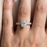 White gold Oval Cut Diamond Pavé Band Solitaire Ring with Prong Setting_93