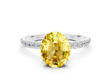 White gold Oval Cut Diamond Pavé Band with Six-Prong Setting