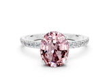 White gold Oval Cut Diamond Pavé Band with Six-Prong Setting
