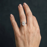 White gold Oval Cut Diamond Solitaire Engagement Ring with Classic Band and Four-Prong Setting_203