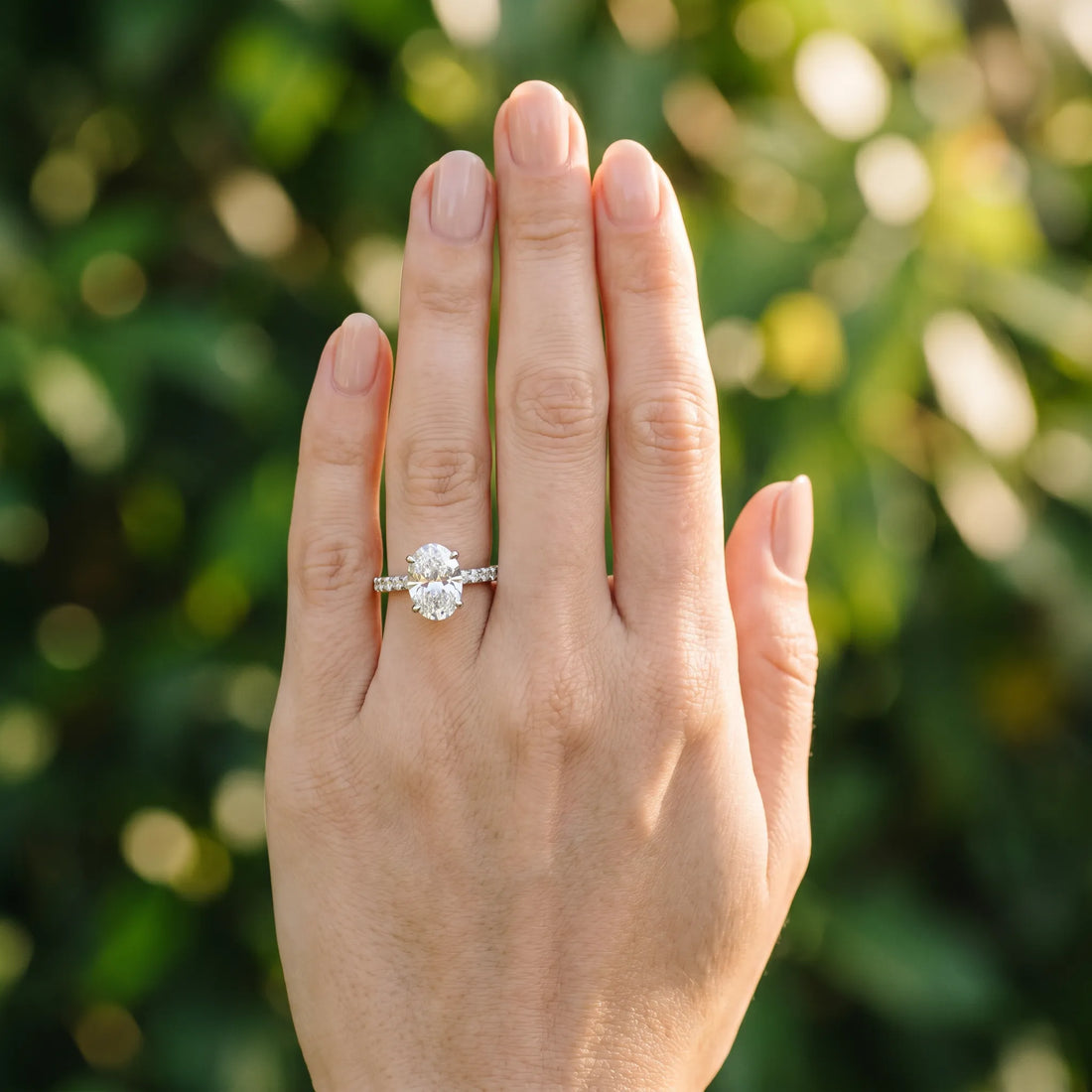 White gold Oval Cut Diamond Solitaire Ring with Pavé Band and Four-Prong Setting_373
