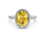 White gold Oval Cut Halo Diamond Pave Band with Prong Setting
