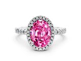 White gold Oval Cut Halo Diamond Pave Band with Prong Setting