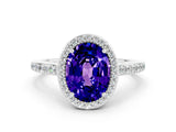 White gold Oval Cut Halo Round Diamond Pavé Band with Four-Prong Setting