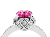 White gold Oval Cut Pink Sapphire Scalloped Halo Engagement Ring with Round Shared Prong Band_16