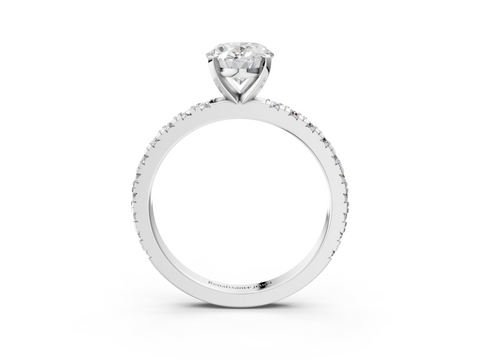 White gold Oval Diamond Pavé Band Solitaire with Four-Prong Setting_241