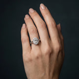White gold Oval Halo Split Shank Twisted Band Prong Set Ring_6