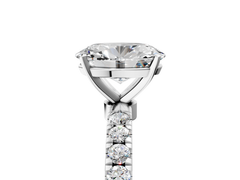 White gold Oval Solitaire Diamond Pavé Band with Four-Prong Setting_56