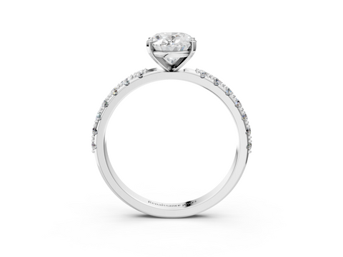 White gold Oval Solitaire Pavé Band with Four-Prong Setting_157