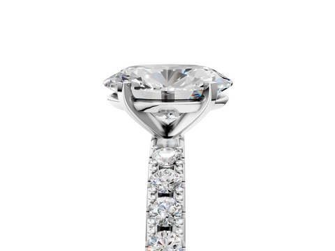 White gold Oval Solitaire Pavé Band with Four-Prong Setting_159