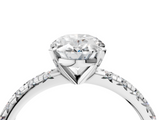 White gold Oval Solitaire Pave Diamond Engagement Ring with Four-Prong Setting_361