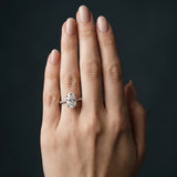 White gold Oval Solitaire Twisted Band 4-Prong Ring_261