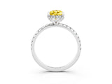 White gold Pear Cut Diamond Solitaire Ring with Four-Prong Setting and Pavé Band_3