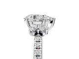 White gold Pear Diamond Three-Stone Pave Band with Four-Prong Setting_62