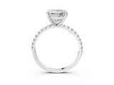White gold Princess Cut Diamond Brilliant Solitaire Ring with Pavé Band and Four-Prong Setting_173