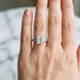 White gold Princess Cut Diamond Milgrain Pavé Engagement Ring with Four-Prong Setting_215