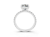 White gold Princess Cut Moissanite Pavé Solitaire Ring with Round Band and Prong Setting_39