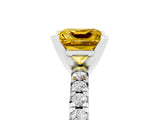 White gold Princess Cut Yellow Sapphire Solitaire Pavé Engagement Ring with Round Band and Prong Setting_77