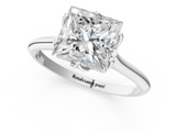 White gold Princess Solitaire Cathedral Diamond Ring with Six-Prong Setting_24