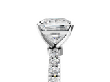 White gold Princess Solitaire Diamond Pavé Band with Four-Prong Setting_117