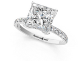 White gold Princess Solitaire Pavé Diamond Engagement Ring with Four-Prong Setting_45