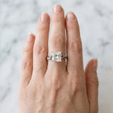 White gold Princess Solitaire Vine Band with Milgrain Prong Setting_49
