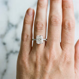 White gold Radiant Cut Diamond Solitaire Pavé Band with Four-Prong Setting_237